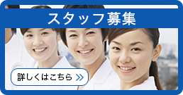 スタッフ募集